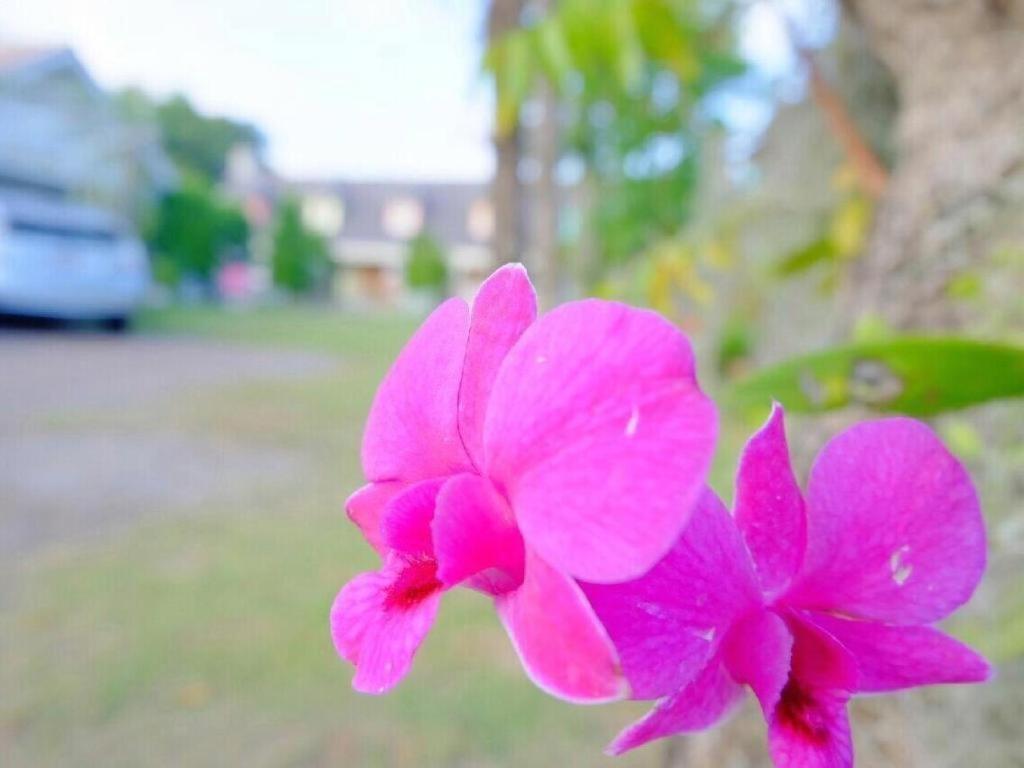 คาริสม่า รีสอร์ท สวนผึ้ง ภายนอก รูปภาพ